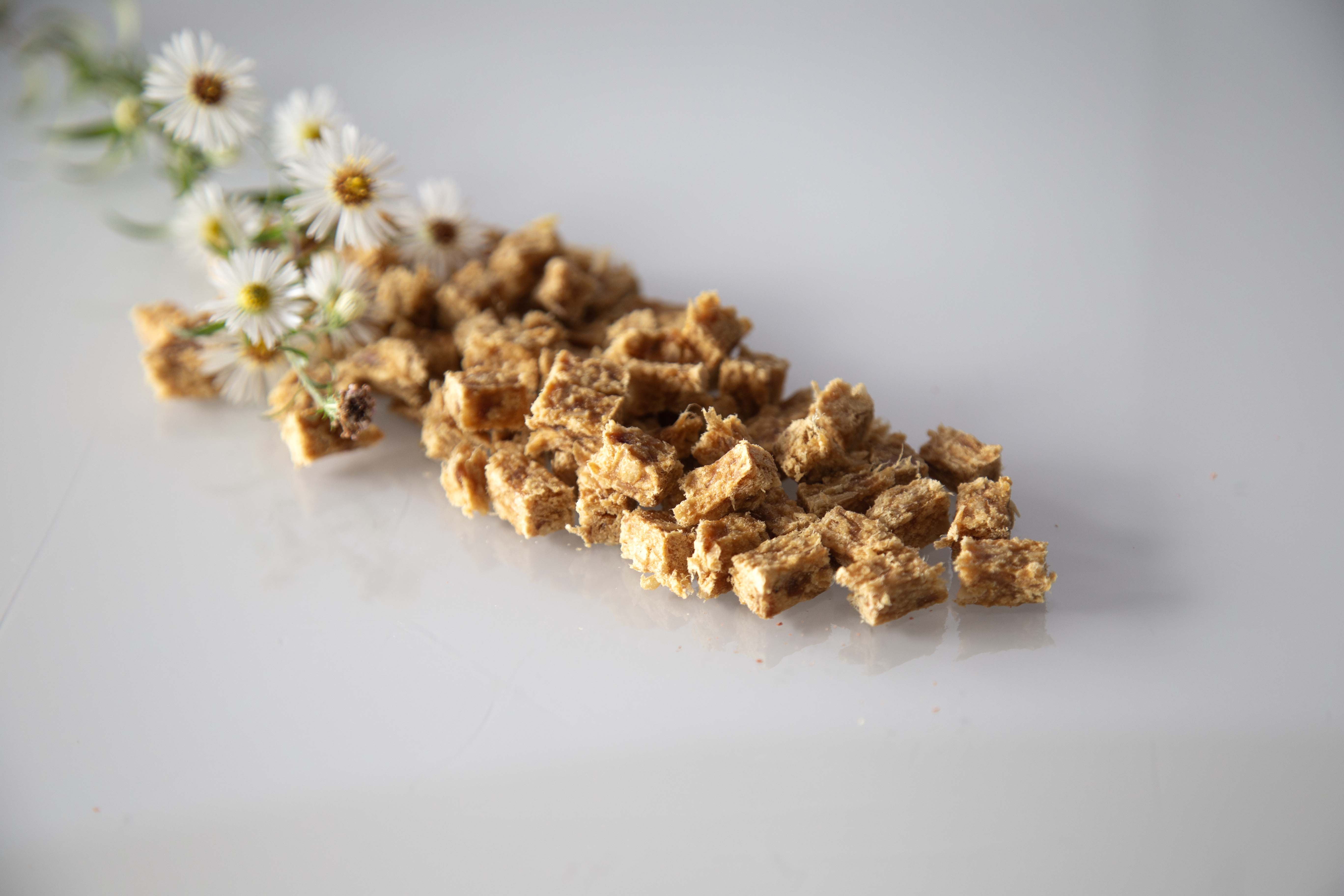 Trainingssnack Entenwürfel