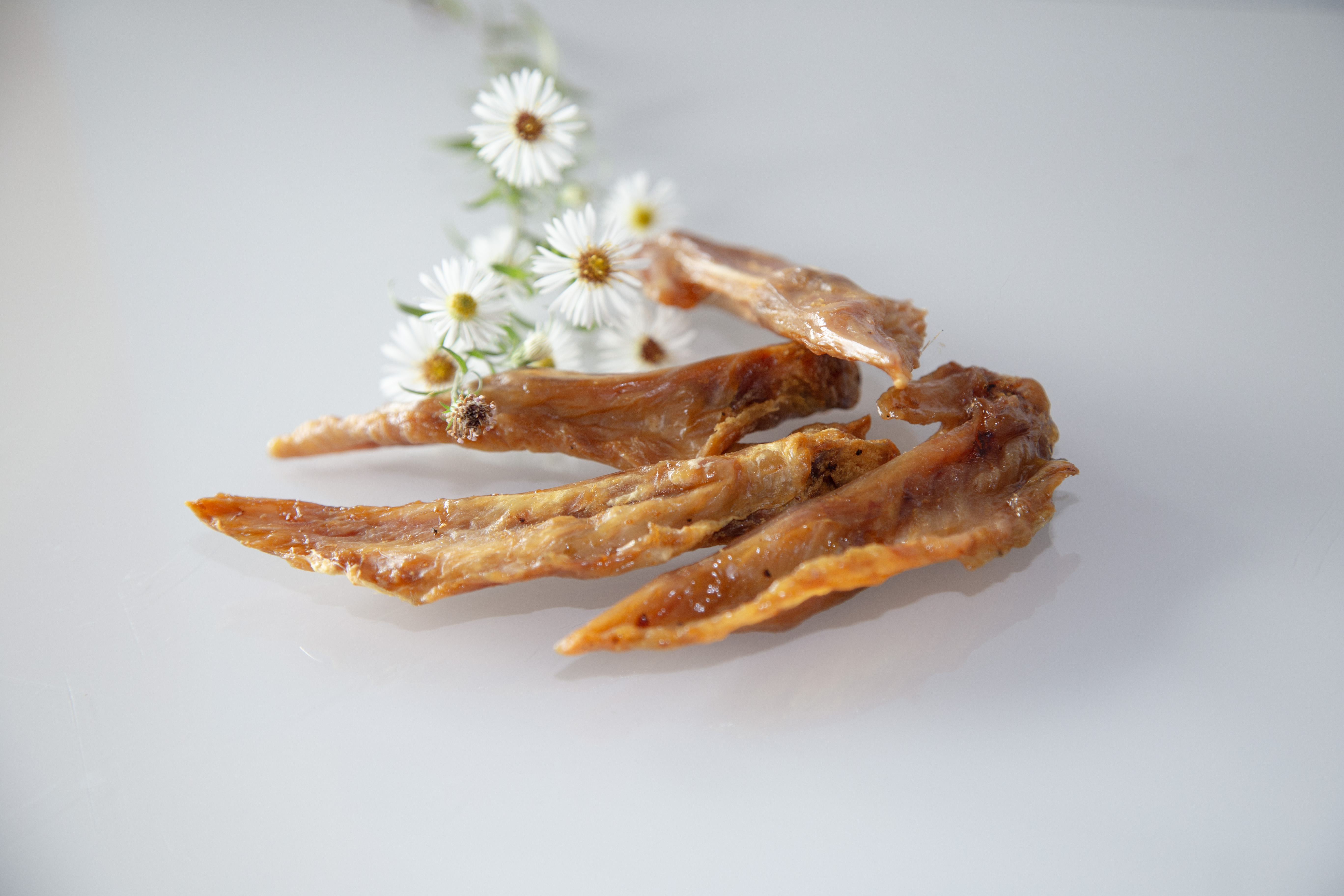 Puten Flügel