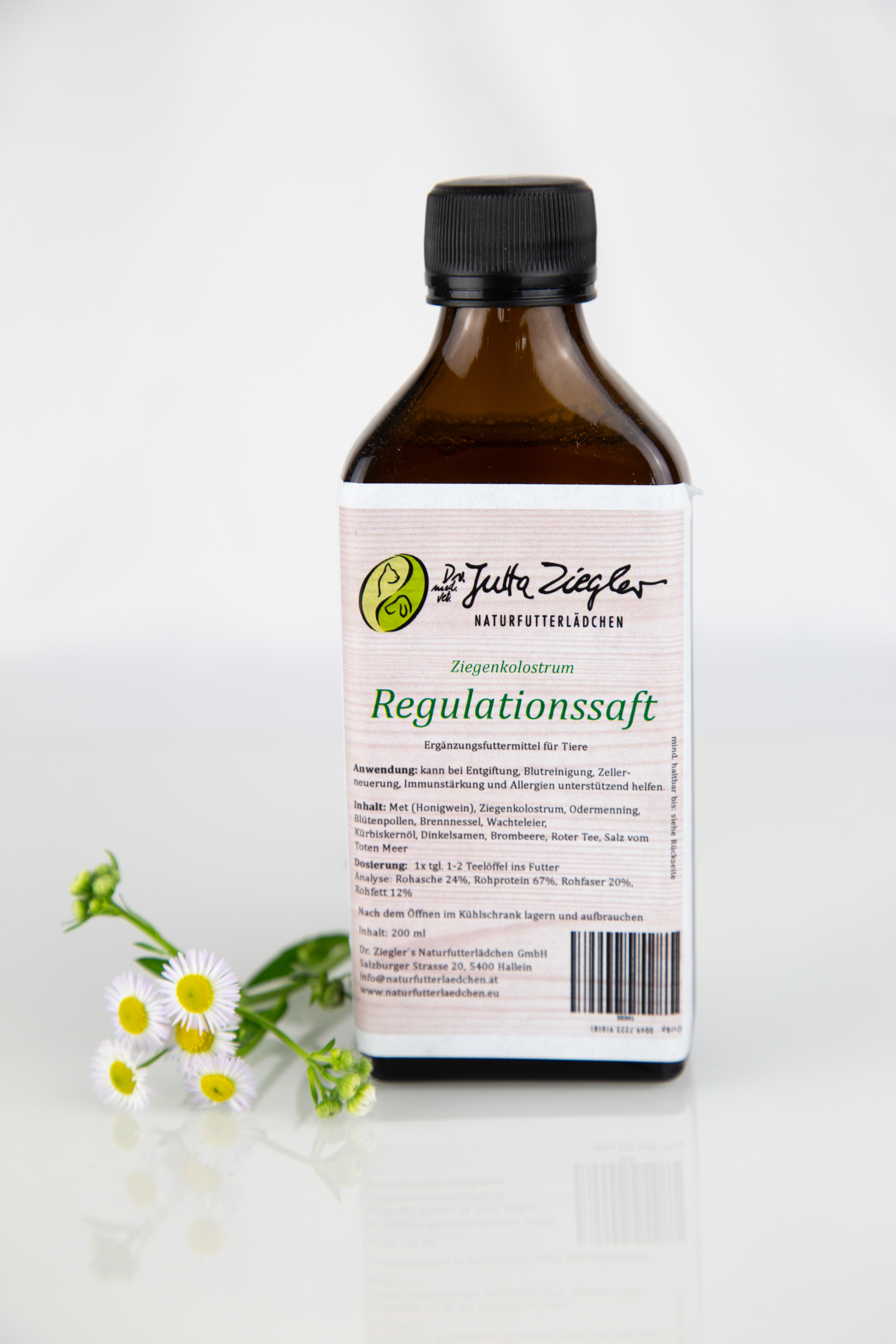 Regenerationssaft (200 ml Flasche)