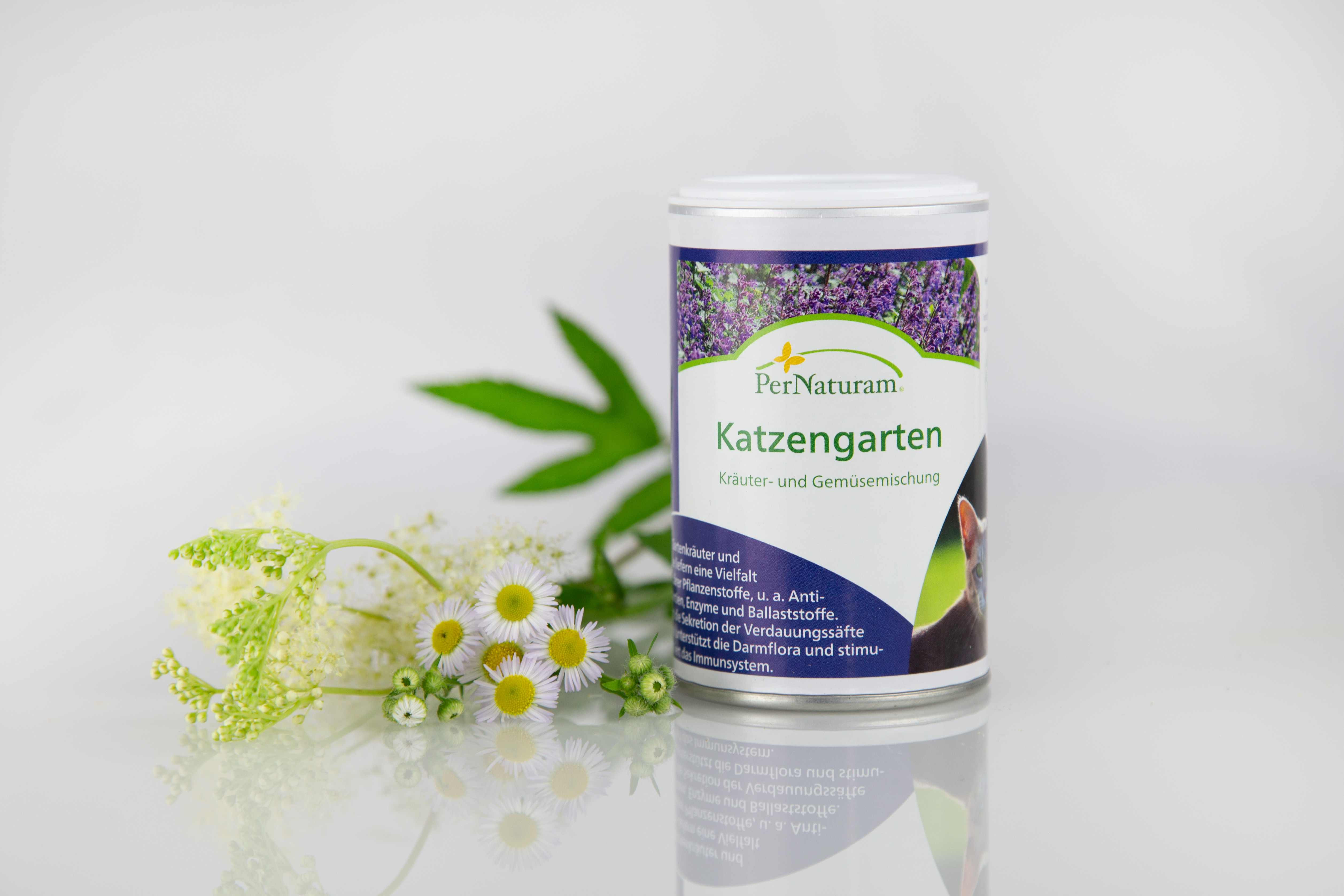 Katzengarten (50 gr.)