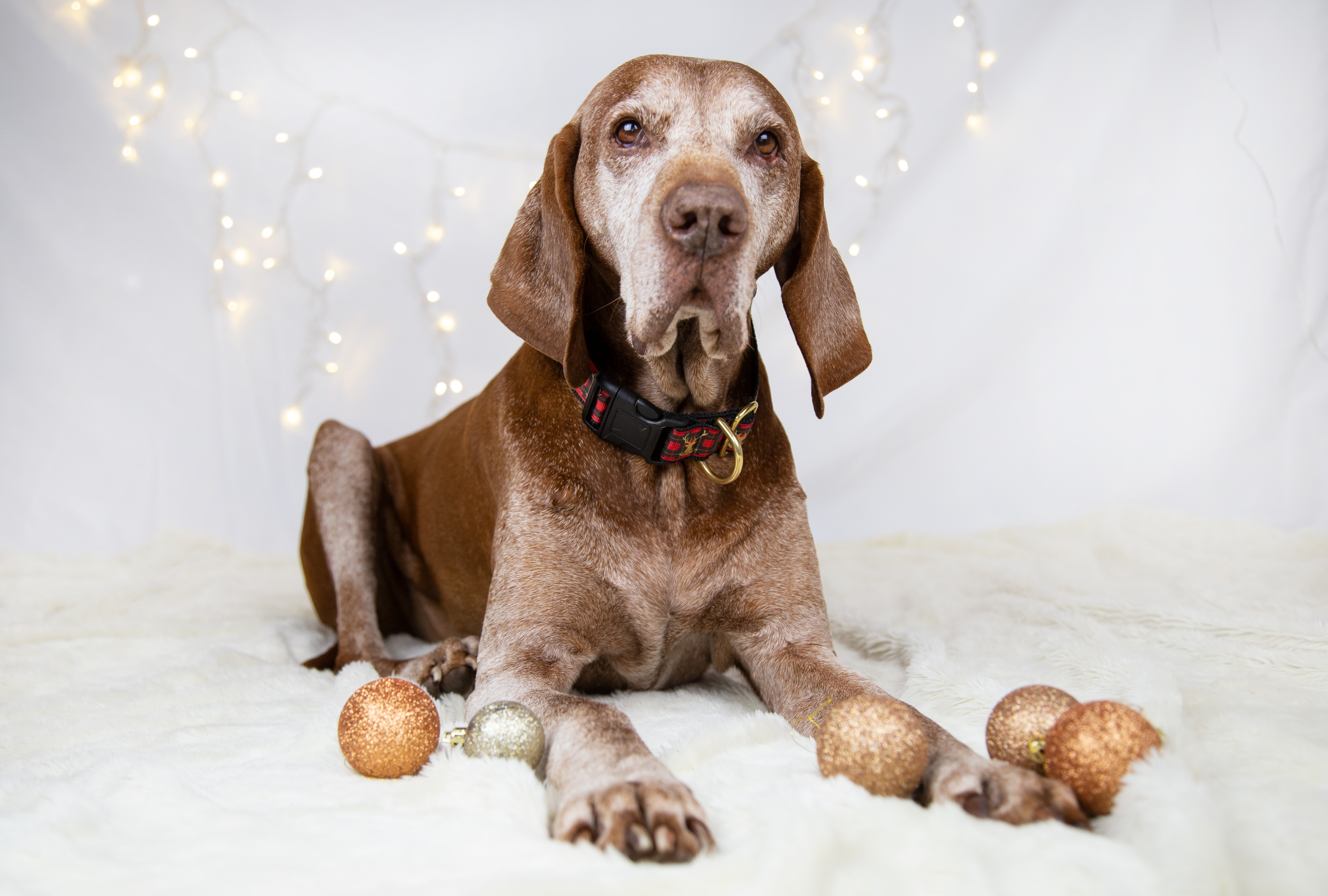 Weihnachtsgeschenk