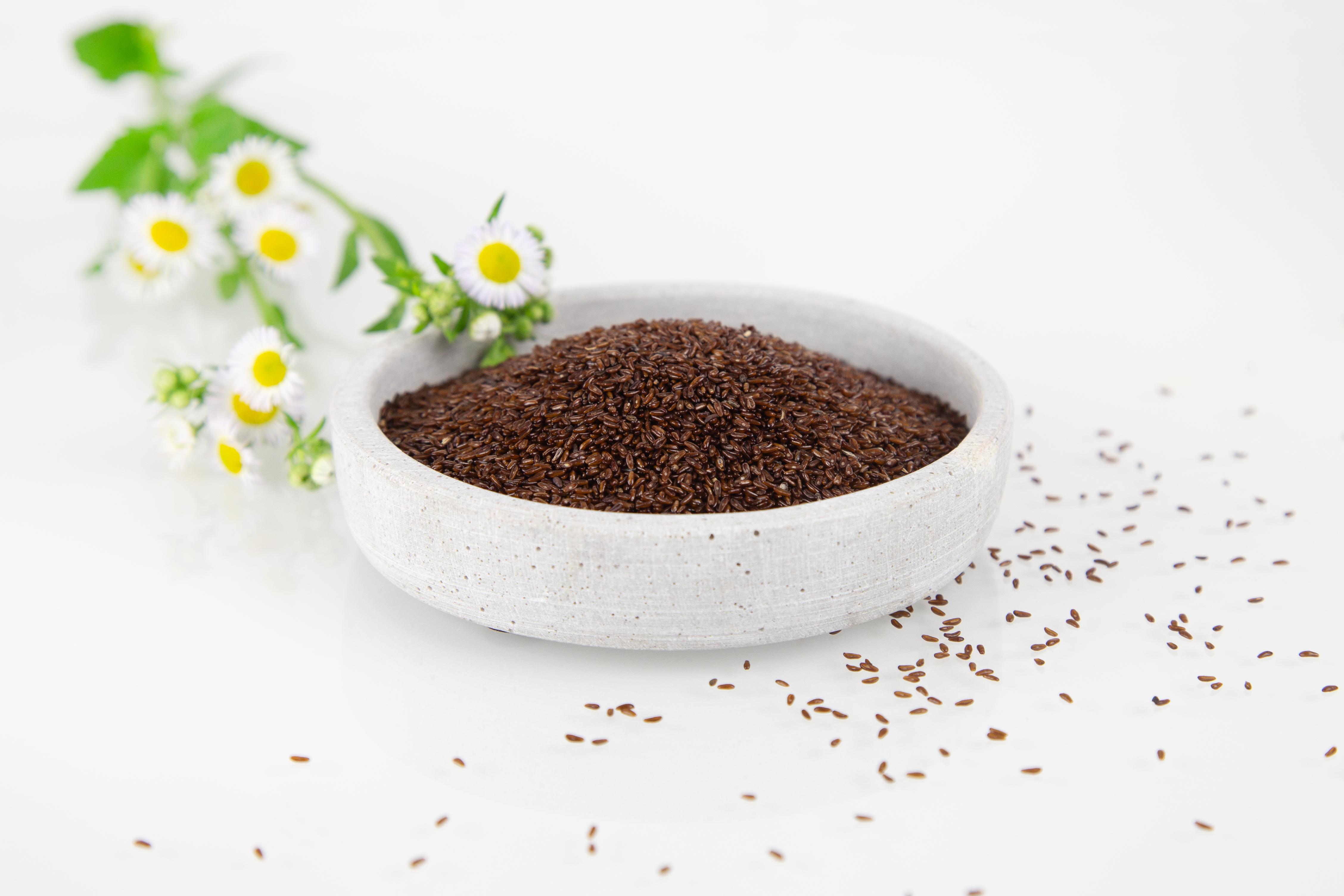 Flohsamen - schwarz, ganz 500 gr. Packung